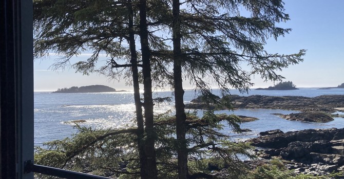 Gratitude and Self-Compassion