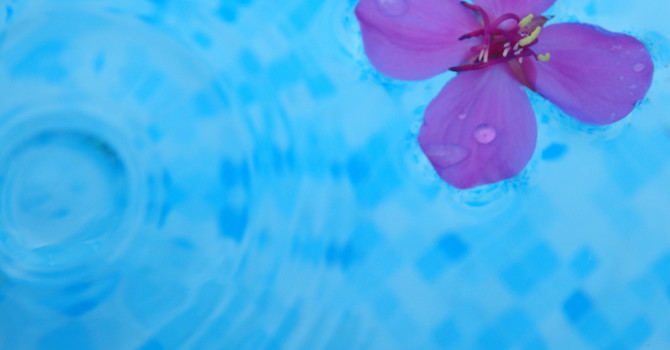 How to Live More Joyfully