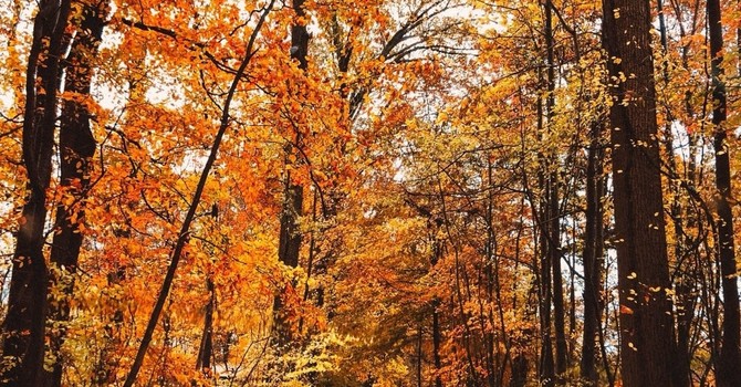 Why October is the Perfect Time to Reset