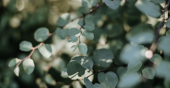 Gentle Ways to Embrace Self-Compassion During Postpartum