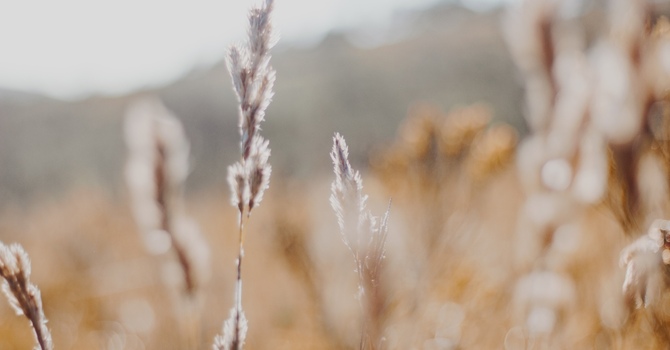 Recognizing Burnout in Healthcare Professionals image