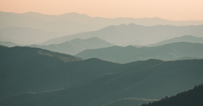 Embracing the Healing Journey