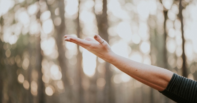 Navigating Grief image